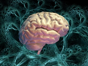 Brain Computer Artwork Impressions: Neural network, computer artwork