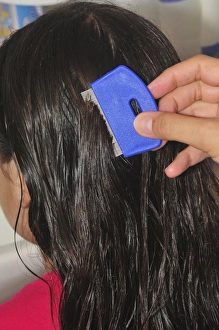 Images datées de 2010 décembre: Le nitrate de coca est un médicament qui peut être utilisé pour traiter les troubles du sommeil