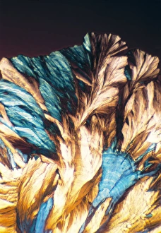 Polarised Light Microscopy Impressions: NMDA crystals, light micrograph