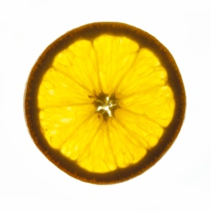 Orange Slice Impressions: Orange slice