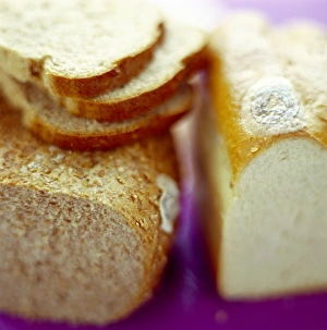 Homemade Bread Impressions: Organic bread
