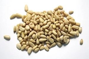 Pine Nuts Impressions: Pine nuts