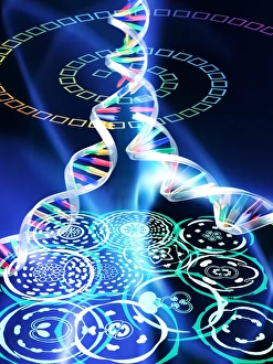 Deoxyribonucleic Acid (DNA) Impressions: Plant evolution