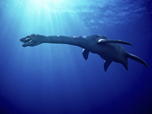 Marine Reptiles Impressions: Plesiosaur