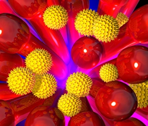Pollen Transfer Mechanism Impressions: Pollen