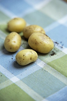 New Potatoes Impressions: Potatoes