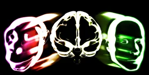 Images datées de 2005 janvier: Évolution du cerveau des primates