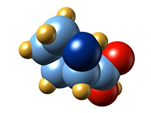 Amino Acid Structure Impressions: Proline, molecular model