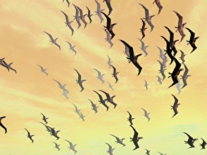 Cretaceous Period Creatures Impressions: Pterosaurs