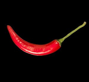 Images datées du 12 août 2009: Poivre de piment rouge