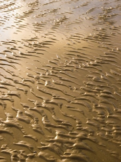 Coastal Erosion Images Impressions: Rippled sand in regular pattern