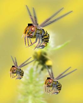 Images datées de 2006 mai: Insectes robots