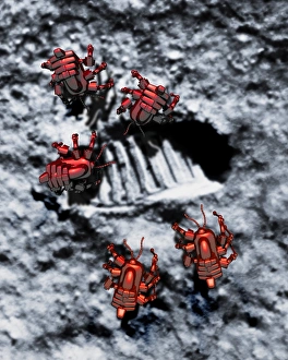 Lunar Surface Exploration Impressions: Robots on the Moon