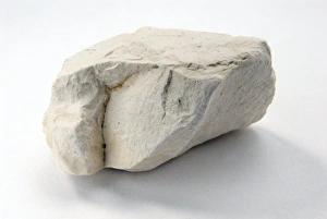 Sedimentary Rock Formation Impressions: Sample of chalk