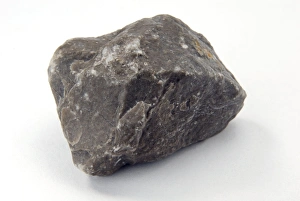 Calcium Carbonate Deposits Impressions: Sample of limestone