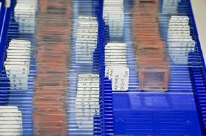 Laboratory Equipment Photos Impressions: Sample Sides in a lab