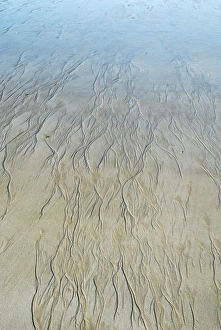 Low Tide Beach Impressions: Sand patterns