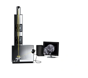 Electron Microscopy Images Impressions: Scanning electron microscope, artwork