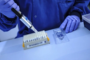 Scientist In Lab Coat Impressions: Scientist using multipipette