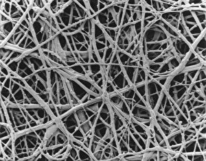 Impressions de Membrane de coquille d'œuf. Micrographie électronique à balayage (SEM) du membrane interne de la coquille d'un œuf de poule Images datées de 2005 juillet: Membrane interne de la coquille d'œuf de poule