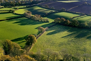 English Autumn Landscapes Impressions: Shadows across fields, Devon, UK