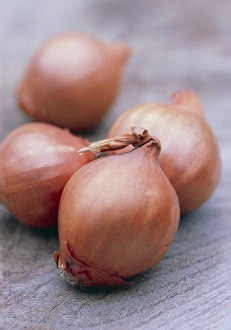 Wooden Surface Still Life Impressions: Shallots