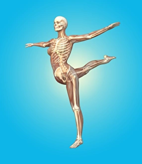 Female Skeleton Anatomy Impressions: Skeleton dancing