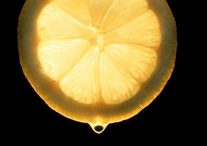 Lemon Slice Impressions: Slice of lemon