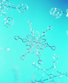 Images datées du 16 juin 2003: Snowflake
