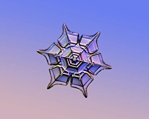 Light Microscopy Images Impressions: Snowflake, light micrograph