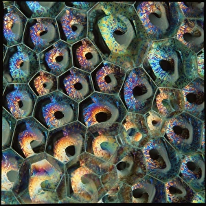 Images datées de 1994: Bulles de savon