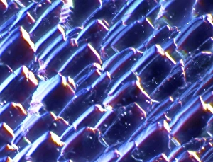 Environmentally Friendly Power Generation Impressions: Solar cell, micrograph