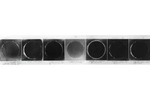 Solar Eclipse Photography Impressions: Total solar eclipse, 1860
