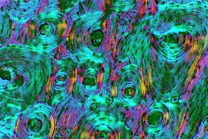 Images datées de 2008 novembre: Os compacte, photographie à microscope légère