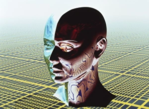 Impressions de La personnalité fragmentée. Art informatique conceptuel de deux côtés d'une tête humaine, représentant une personnalité fragmentée Images datées de 2001 juillet: Personnalité fragmentée