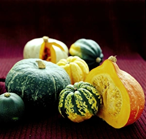 Vegetable Garden Photos Impressions: Squashes