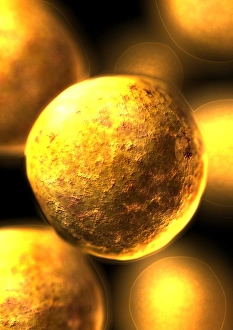 Stem Cell Research Impressions: Stem cells
