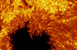 Cosmology Images Impressions: Sunspot