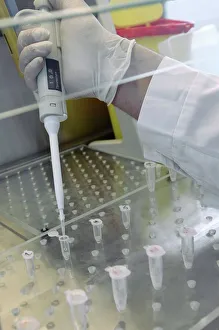 Impressions de Testement des virus. Un technicien utilisant un bocal pour remplir de petites fioles d'échantillons Images datées de 2011 mars: Test pour virus