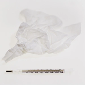 Medical Thermometer Impressions: Tissue and thermometer