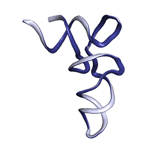 Protein Synthesis Process Impressions: tRNA molecule