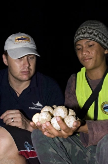 Endangered Sea Turtles Impressions: Turtle conservation