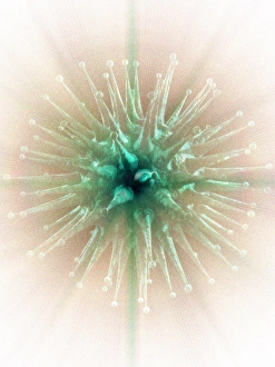 Microbiology Images Impressions: Virus, computer artwork