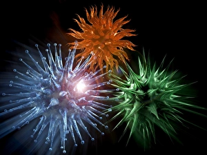 RNA Viruses Impressions: Viruses, computer artwork