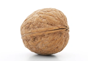 Walnut Tree Impressions: Walnut