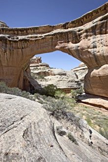 Rugged Rocky Terrain Impressions: 27142_work