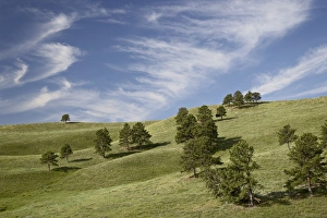 Rolling Hills Scenery Impressions: 27723_work