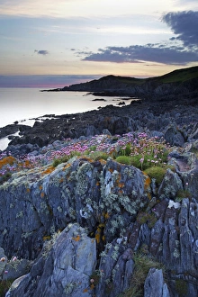 Nature Scenery In Europe Impressions: Bull Point, North Devon, Devon, England, United Kingdom, Europe