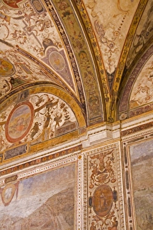 Tuscany European Landmarks Impressions: Ceiling detail