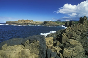 Coastal Basalt Columns Impressions: Columnar structures, created during cooling of basalt lava